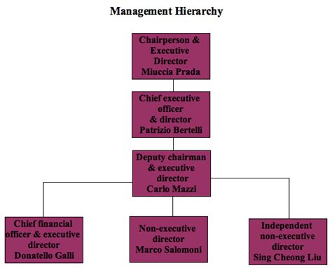 prada organizational structure|prada hse.